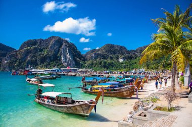 PHI PHI, THAILNAD-JAN 28, 2016: Tekneler Ko Phi adasındaki Ton Sai körfezinde 28 Ocak 2016, Tayland.