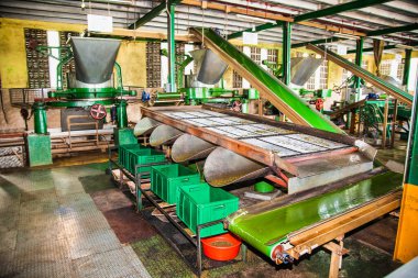 NUWARA ELYA, SRI LANKA-DEC 29,2016. 29 Aralık 2016 'da Nuwara Eliya' daki çay fabrikası, Sri Lanka.