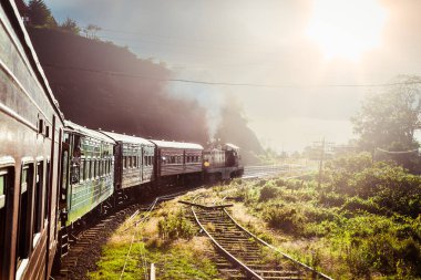  NUWARA ELYA, SRI LANKA-DEC 29. 2016: 29 Aralık 2016, Sri Lanka 'da Nuwara Eliya ilçesindeki çay tarlasından tren geçiyor. Çay üretimi Sri Lanka 'nın ana dış ticaret kaynaklarından biridir.