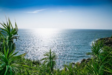 Sri Lanaka 'da Unawatuna yakınlarındaki Orman Sahili' ne bakın..