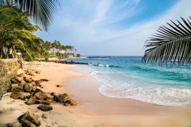 Sri Lanka 'da Weligama yakınlarında palmiyeleri olan tropik cennet plajı.. .