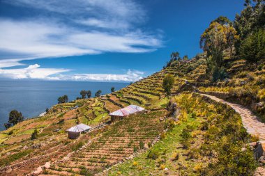 Titicaca Gölü, Peru 'daki Taquile Adası' ndaki köyde taş patikası. Güney Amerika.
