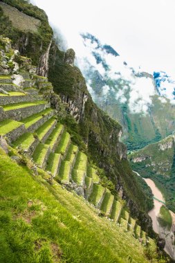 Machu Picchu harabelerinde eski tarım terasları, Peru. Güney Amerika.