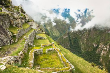 Machu Picchu harabelerinde eski tarım terasları, Peru. Güney Amerika.