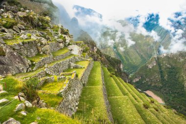 Machu Picchu harabelerinde eski tarım terasları, Peru. Güney Amerika.