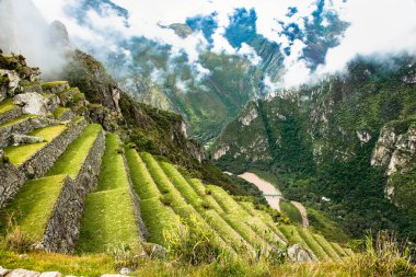 Machu Picchu harabelerinde eski tarım terasları, Peru. Güney Amerika.