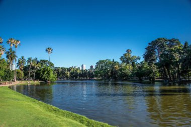 Palermo Park Gölü 'nde bahar, Buenos Aires, Arjantin