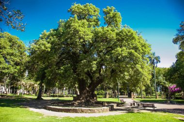 Buenos Aires Arjantin - 25 Aralık 2018: Buenos Aires 'te Arjantin Sağlık Bakanlığı' nın inşası üzerine Evita Peron portresi. Sanat Arjantinli sanatçı Marmo tarafından yapıldı. Arjantin.