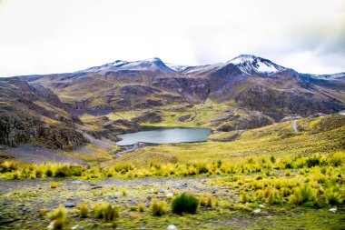 Buenos Aires Arjantin - 25 Aralık 2018: Buenos Aires 'te Arjantin Sağlık Bakanlığı' nın inşası üzerine Evita Peron portresi. Sanat Arjantinli sanatçı Marmo tarafından yapıldı. Arjantin.