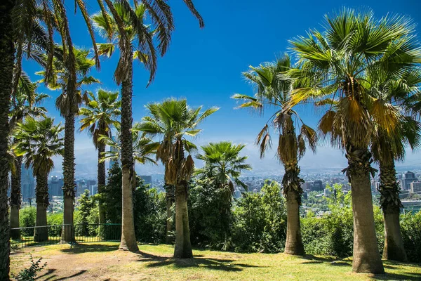 Buenos Aires Argentina Prosince 2018 Portrét Evity Peronové Výstavbě Argentinského — Stock fotografie