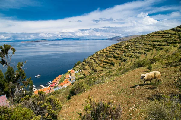 Dorp Isla Del Sol Eiland Titicaca Meer Met Schip Peru — Stockfoto