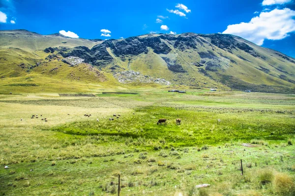 Hermosos Paisajes Carretera Entre Puno Cosco Perú América Del Sur — Foto de Stock