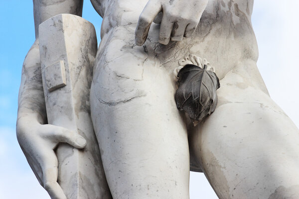 Fig leaf statue detail