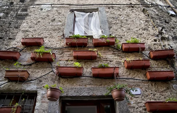 Çiçek pot cephe — Stok fotoğraf