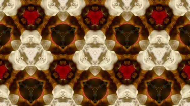 Fractal animation geometri — Stockvideo