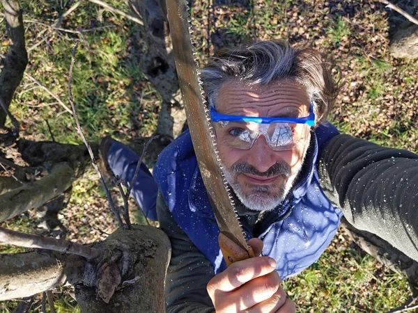 Mid Adulto Caucasiano Homem Poda Árvore Pomar — Fotografia de Stock