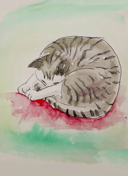 Милий Європейський Кіт Мистецтво Барвиста Акварельна Ілюстрація — стокове фото
