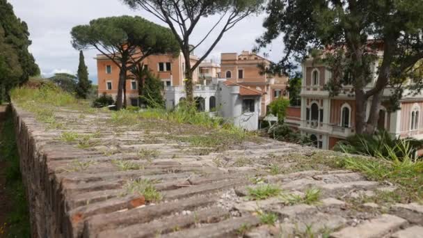Ervas Selvagens Antigas Paredes Tijolos Roma Itália — Vídeo de Stock