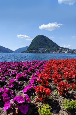 Lugano Gölü İsviçre 'deki Ciani Park' tan izleniyor.