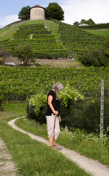 Femme Mûre Trekking Long Des Vignobles Dans Région Suisse Italienne — Photo