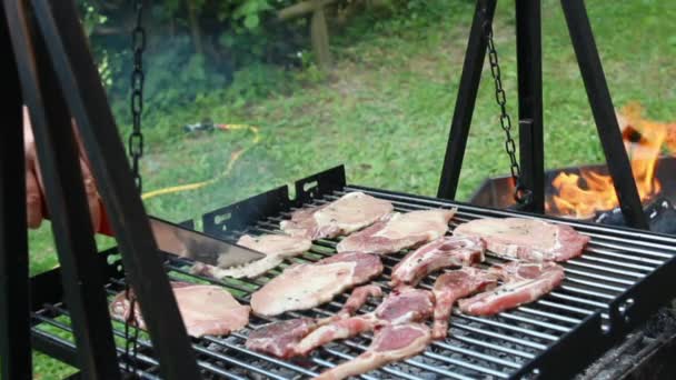 Cocinar carne en una barbacoa — Vídeo de stock