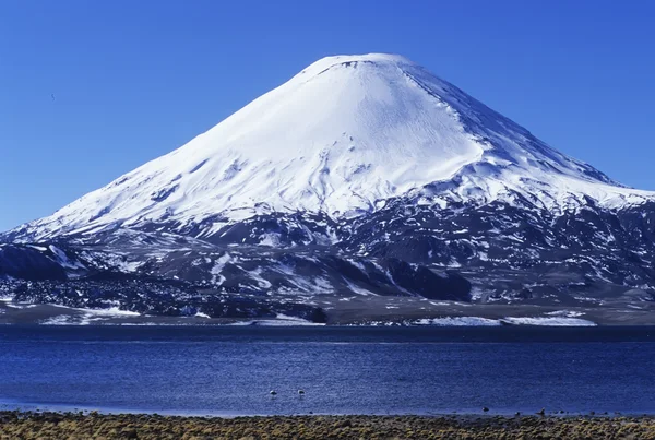 Vulkan i Peru — Stockfoto