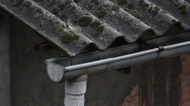 Şiddetli yağmur yağıyor