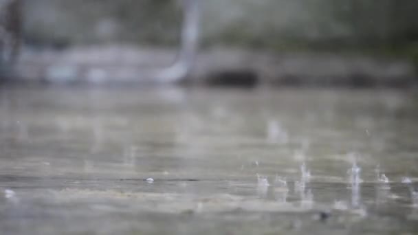 Lluvia fuerte — Vídeo de stock