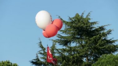 Roma'da Cgil protesto