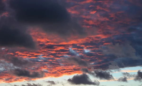 Céu vermelho nuvem — Fotografia de Stock