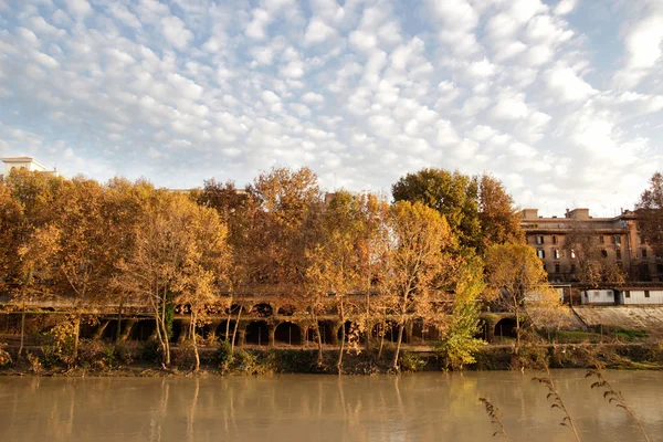 Herbst in testaccio, rom — Stockfoto