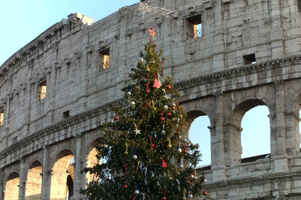 Christmas tree Coliseum — Stock Photo, Image