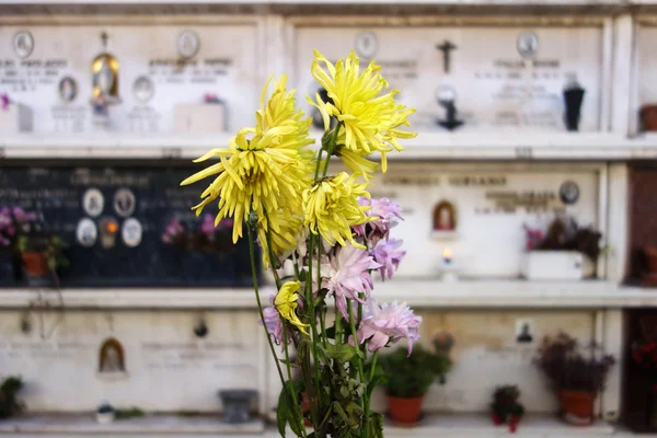 Cemetery flowers — Stock Photo, Image