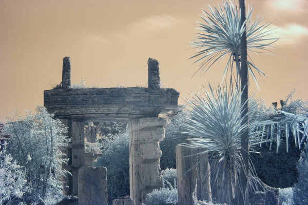 Tropische ruïnes — Stockfoto