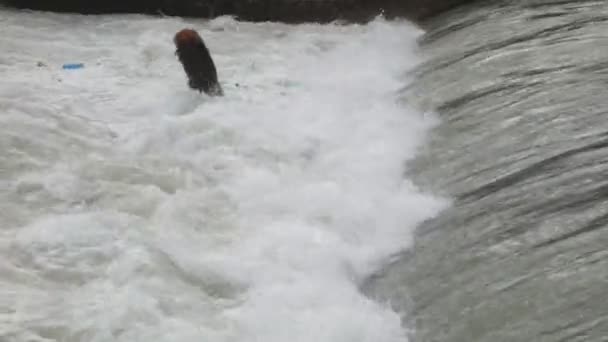 Дерево на хвилях водоспаду — стокове відео