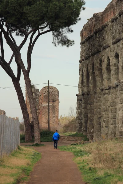 Ruines de l'ancien Acqueduct — Photo