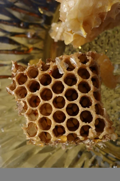 Piece of hive honey — Zdjęcie stockowe