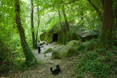 Adam köpeklerle ancieruins keşfetmek