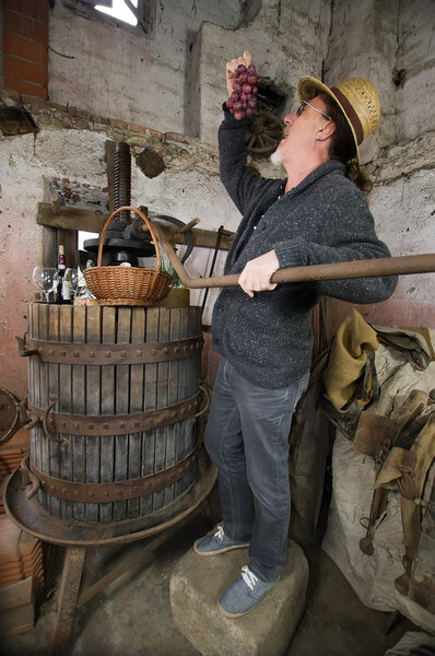 Тест винограда
