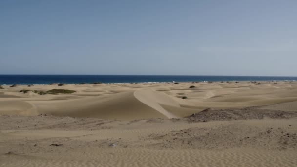 Καναρίνια, παραλία Maspalomas — Αρχείο Βίντεο