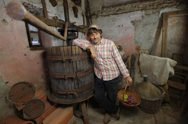 Winemaker with grapes basket — Stock Photo, Image