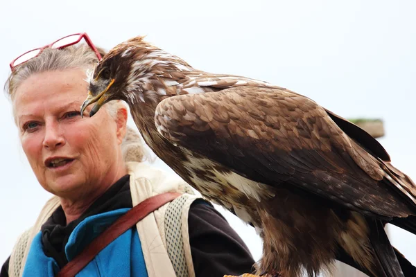 Falkenering eagle kvinna — Stockfoto