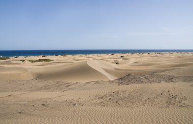 Las dunas de Maspalomas beach