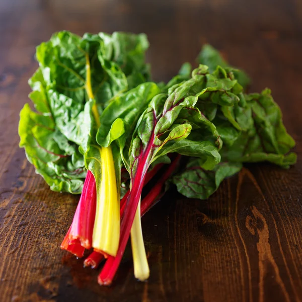 Massa rainbow chard — Stockfoto