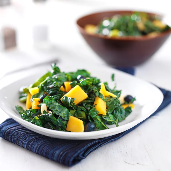 Mango and blueberries kale salad — Stock Photo, Image