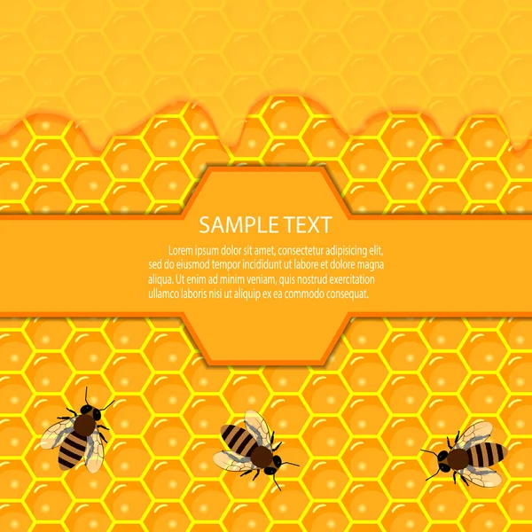 Honeycomb and sweet honey drips. — Stock Vector
