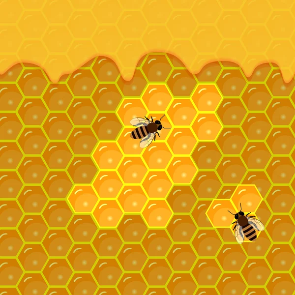 Peine de abeja y gotas de miel dulce . — Vector de stock