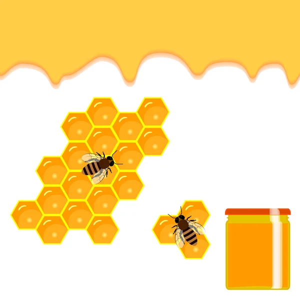 Peine de abeja y gotas de miel dulce . — Vector de stock