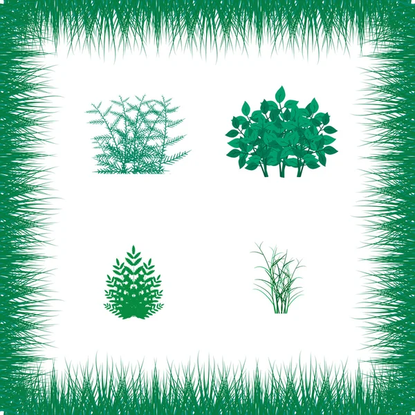 Grass, shrubs. Textures illustrated images — Stock Vector