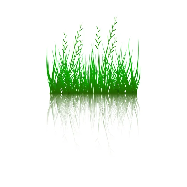 草、低木。テクスチャ イラスト画像 — ストックベクタ